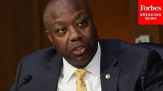 Tim Scott Lashes Out Against Fear-Mongering In Victory Speech: Democracy 'Is Not In Jeopardy'