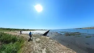 Bestida - Murtosa