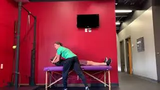 Cervico-Thoracic Erector Spinae PIR