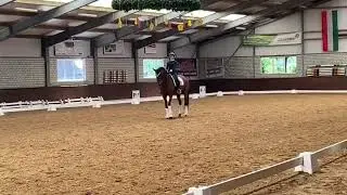 Flovinio und Lia M&uuml;ller, FEI Junioren Mannschaft