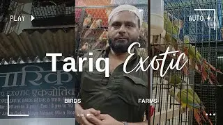 New Birds 🐦 shop open in Mumbai Mira road
