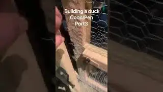 Building a Duck coop/pen part 3￼