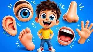Body Parts Song for Kids | Parts of the Body | Learn Body Parts for Children | Body Kids Vocabulary
