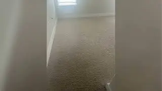 Genesis Floor Care: Carpet & Rug Cleaning Near Me - Pet Stain & Upholstery Experts