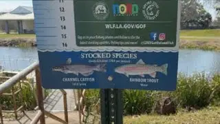 Not so daily fishing report, Joe brown park rainbow trout 1/29/2026
