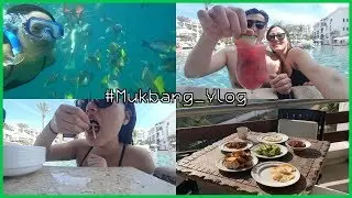 OCTOPUS CEVICHE by pool side + Snorkeling + San Jose Downtown  맥시코 먹방 브이로그 #2