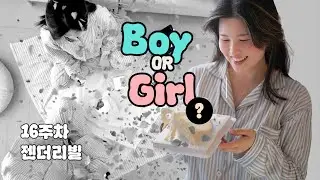 16주차 젠더리빌 라이브 파티 성별 공개! with 예쁜 젠더리빌 케이크