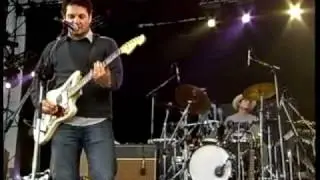 WILCO - LAMINATED CAT
