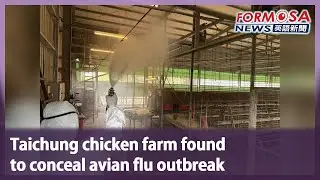 Taichung chicken farm found to conceal avian flu outbreak｜Taiwan News