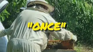 Beekeeping 101