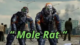 Mole Rat Gijoe classified review en español