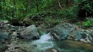 4K-HDR | Soothing Water River Flow for Calm and Sleep | Natural Relaxing Ambience for Stress Relief