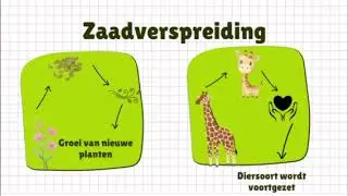 Pecha Kucha: Gedrag en interactie