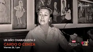 UN AÑO CHABUQUISTA II | CARDO O CENIZA