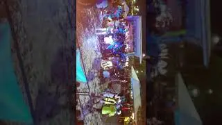 Miami carnival 2017 Freaks mas