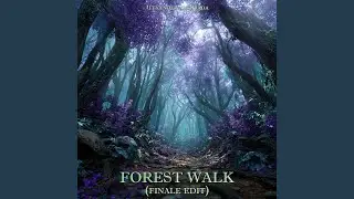 Forest Walk