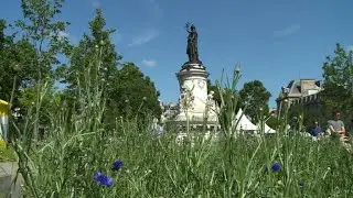 Paris' Place de la Republique goes green to promote biodiversity