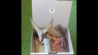 Build A Dog Treat Box from Bonza Dog Treats