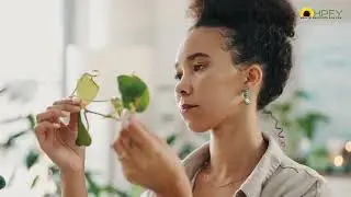 Eco-Conscious Wellness: Simple Ways to Live Healthier & Greener