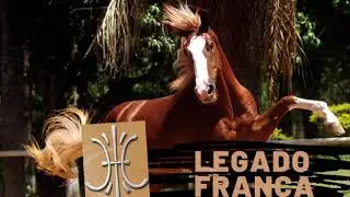 LEGADO FRAN&Ccedil;A - HARAS CANTAREIRA - MANGALARGA PAULISTA