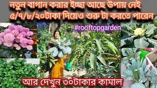 How to prepare your roofgarden at low cost/অল্প খরচায় বাগান শুরু করুন আর।দেখুন ৩০টাকার কামাল 👈