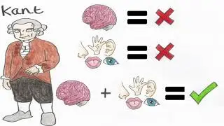 Kennis filosofie Plato \ Locke / Kant