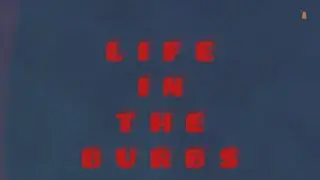 Teezykay - LIFE IN THE BURBS PROMO VIDEO