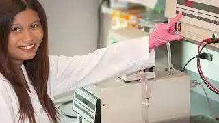 Ohio State Global One Health initiative Impact Video