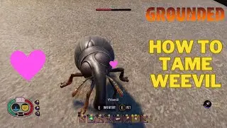 How To Tame a Weevil in Grounded | How To Tame Weevil Pets? | Grounded Guide
