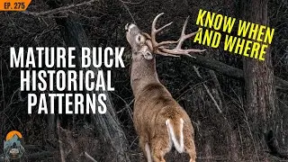 Creating a MATURE BUCK Calendar: Know When and Where to Target Bucks Every Year