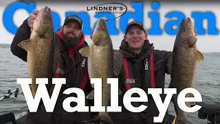 Canadian Walleye