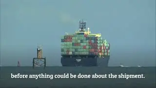 Shipping Time from Japan to the U.S.A.