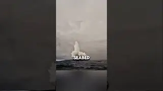 Four Ocean Waves Collided at One Point &mdash; Scientists Were Stunned