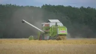Panasonic G80 (G85/G81) + pana 45-200 mm handheld test 2