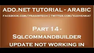 Sqlcommandbuilder update not working in arabic