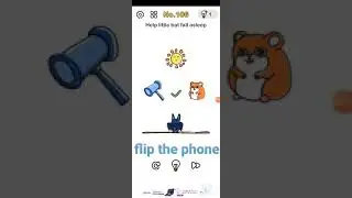 brain out level 106