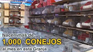 NUEVO RECORD 
