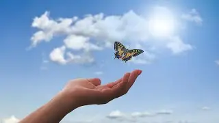 Dreams in the meadow, peaceful music, relaxing music, instrumental music