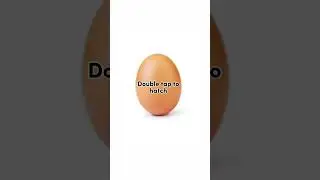 YOU FOUND A RARE EGG