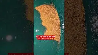 So viel Gold bringen 2 Tage Goldwaschen in Deutschland! 😮🥳 #goldwaschen #goldwaschenindeutschland