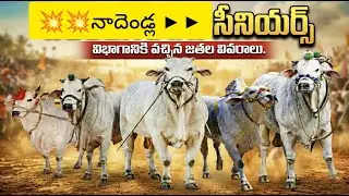 🚩5/2/2026నాదెండ్ల సీనియర్స్ విభాగానికి వచ్చిన జత వివరాలు