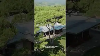 VILLA DEI PINI - Your Hidden Private Tuscan Access To The Sea