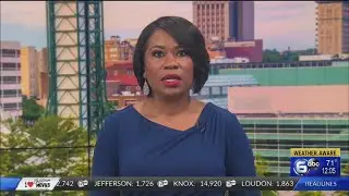Georgia will conduct hand recount of 5 million ballots  - how will it work?