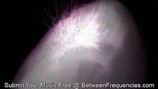 Between Frequencies Radio