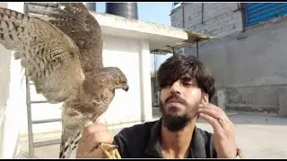 Sabko 'BAAZ' paalna hai ab!