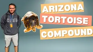 Touring Arizona Tortoise Compound & Hanging With Turtle Nerds !!!