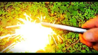 FOREST FUNDAMENTALS - A Great British Bushcraft Company