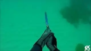 Spearfishing Sydney Australia - Part 5