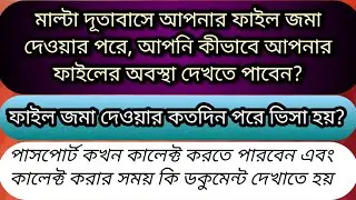 মাল্টা দূতাবাসে(VFS) ফাইল জমা দেওয়ার কতদিন পরে ভিসা হয়?  কীভাবে আপনার  ফাইলের অবস্থা  দেখবেন?