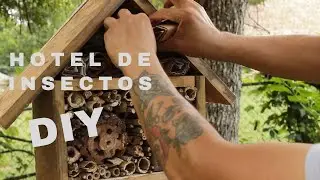 Cómo hacer un hotel para insectos benéficos